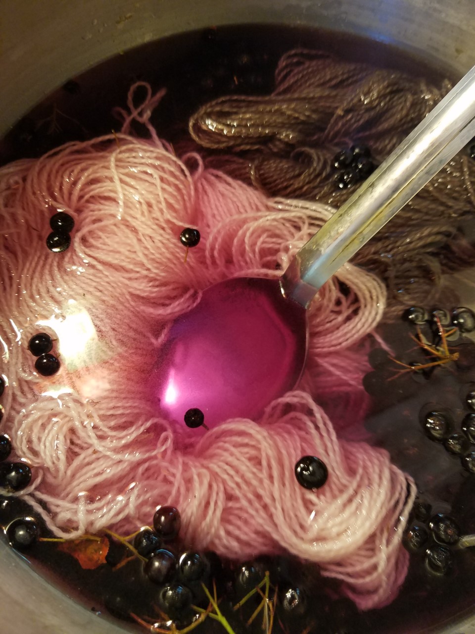 Aronia berries in dye pot for newsletter.jpg