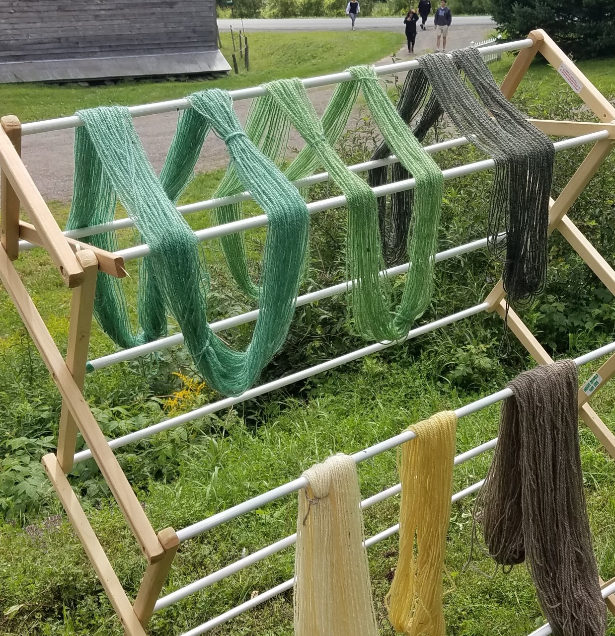 Indigo dyeing results on family farm day.jpg